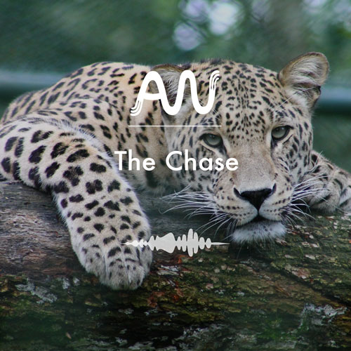 The Chase track cover art