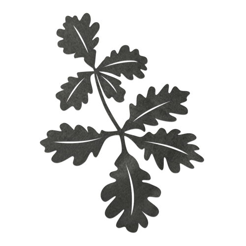 Oak Leaves